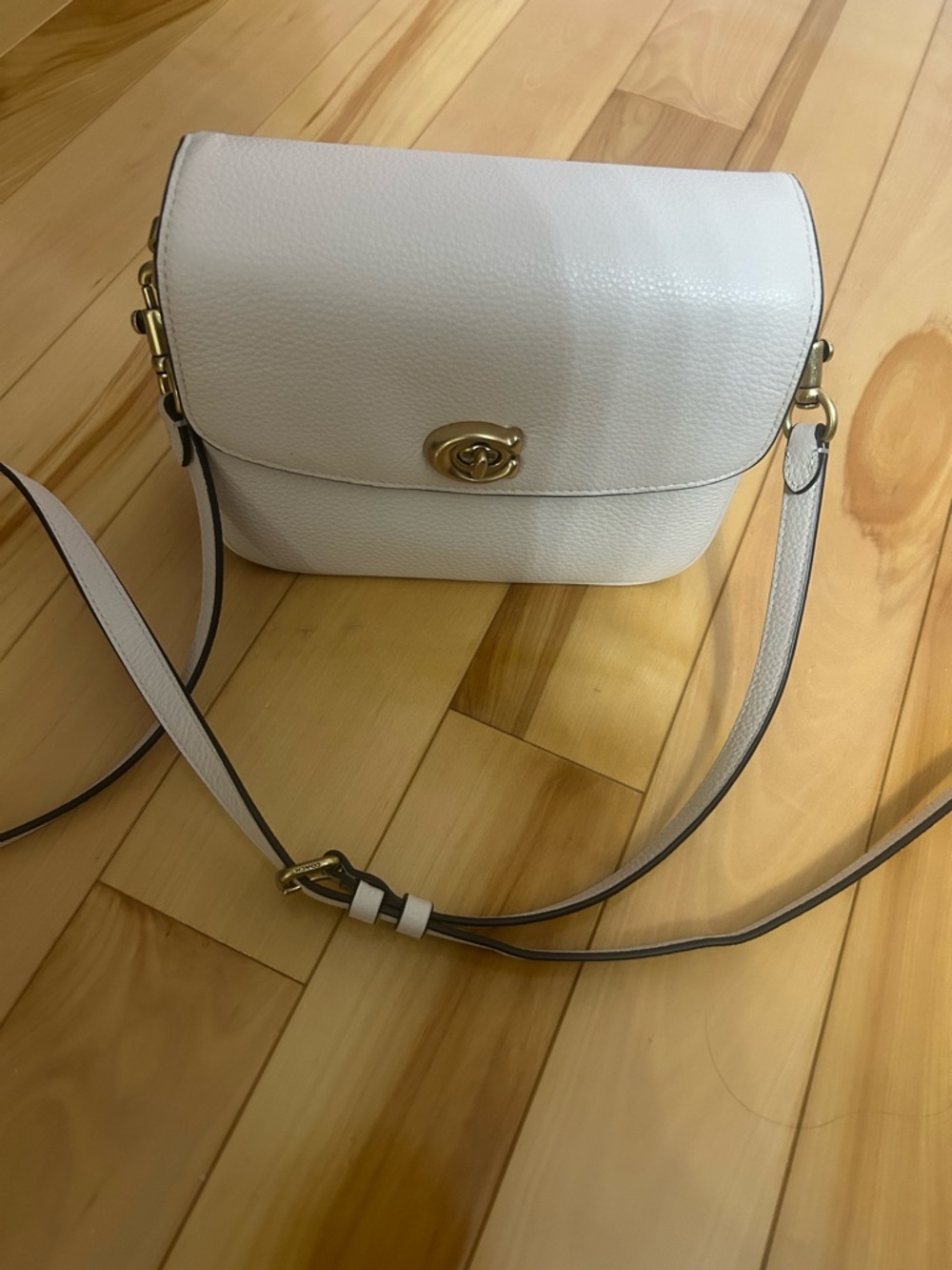 Classic chalk Leather Crossbody Bag with Gold Hardware